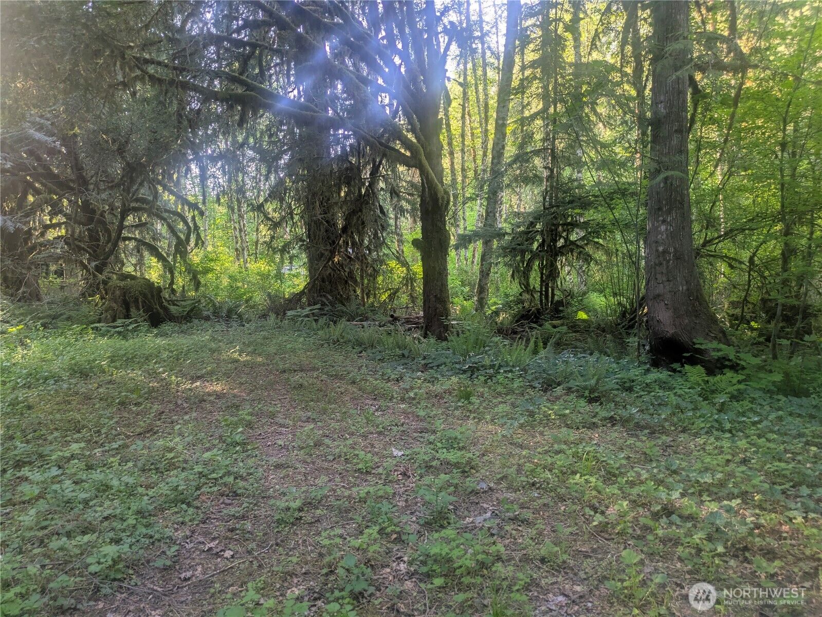 Property Photo:  63323 W Cascade Way D3-19  WA 98267 