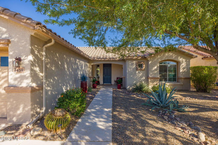 Property Photo:  7459 W Mystic Sky Lane  AZ 85743 