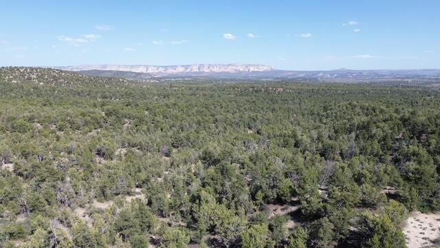 Property Photo:  Mile 51 Highway 9 East Zion 40 Acres  UT 84758 