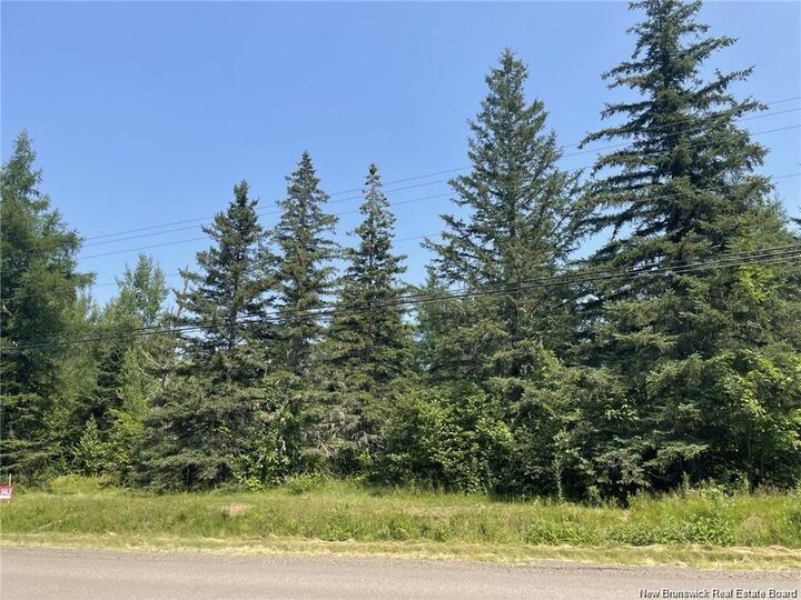 Lot 77-1 Route 134 — photo 1