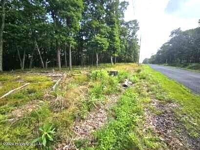 Property Photo: Nr Lot 207 Little Bear Lane PA 18202