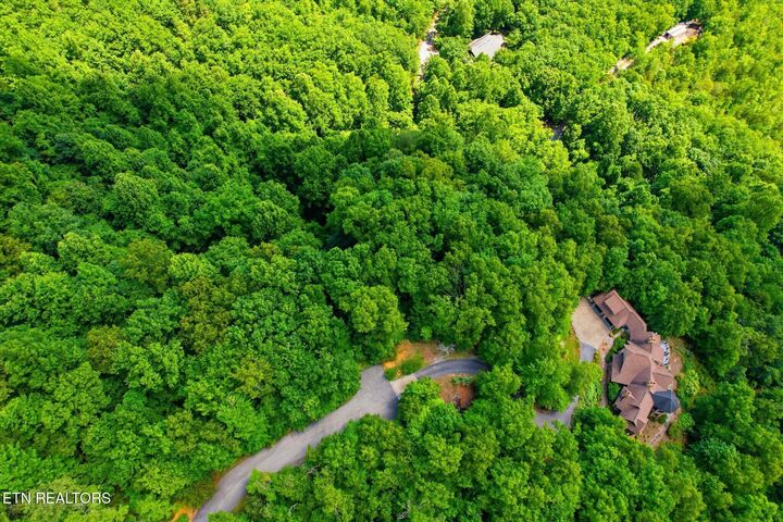 Property Photo:  Woodfern Way  TN 37738 