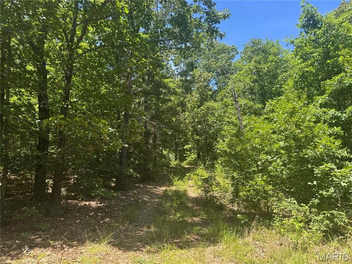 Property Photo: N/A S Klein Road MO 65449