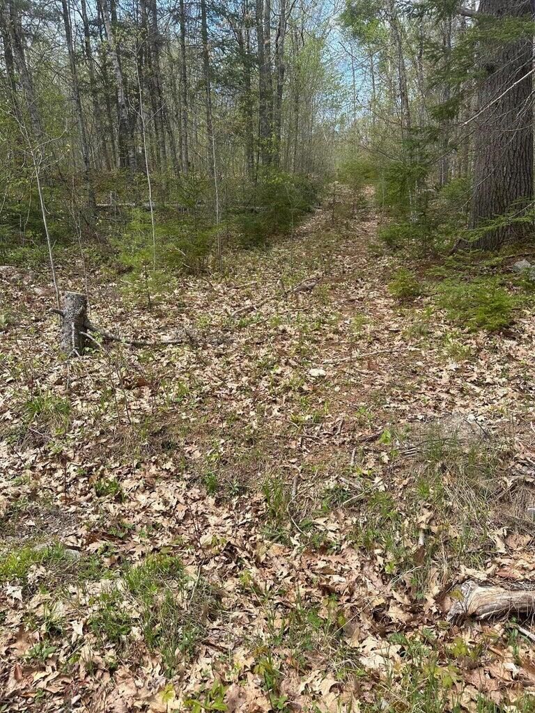 Property Photo: Lot 3 Morse District Road ME 04680