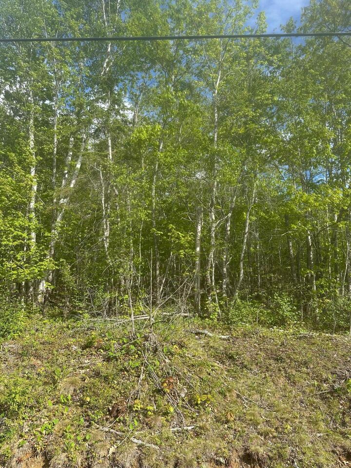 Property Photo: Lot 4 Unionville Road ME 04680