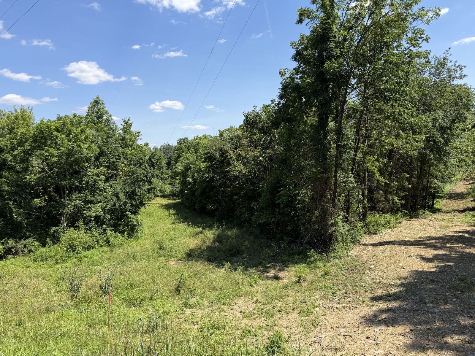 Property Photo:  0 City Park Rd  TN 37186 