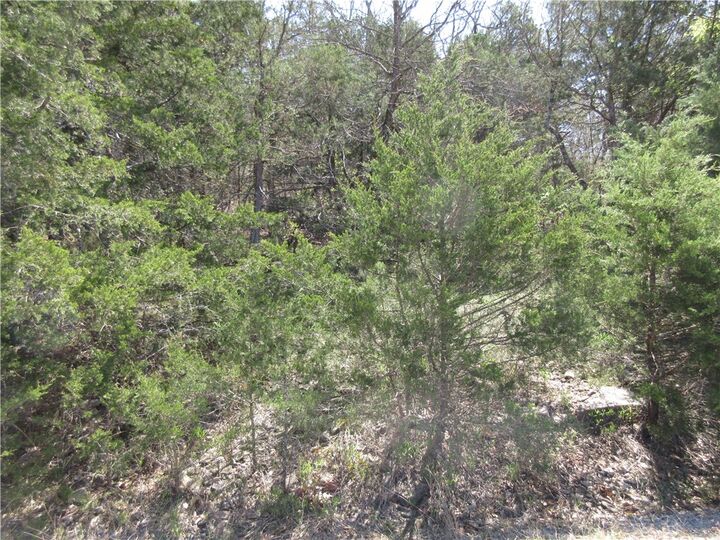 Property Photo:  Lot 7, Hillside Drive  AR 72631 