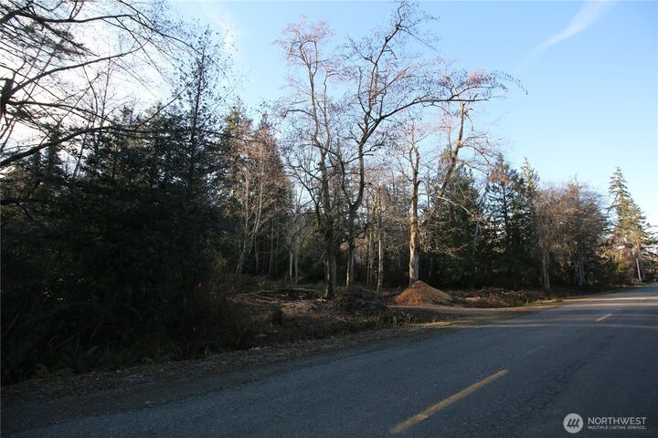 Property Photo: 0 91st Ave SW WA 98070