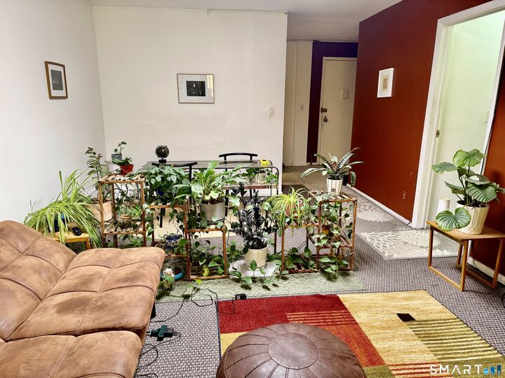 Property Photo:  125 Prospect Street 3D  CT 06901 