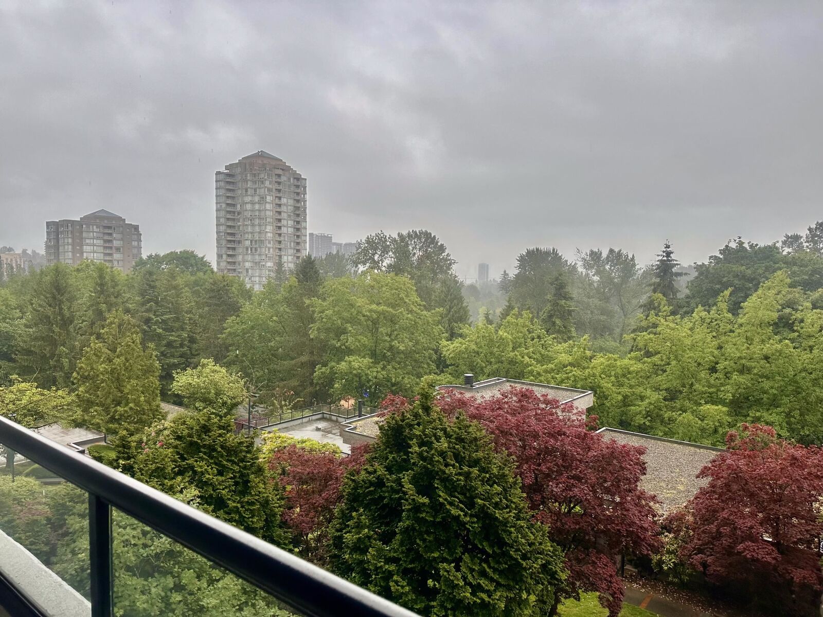 Property Photo:  3980 Carrigan Street 501  BC V3N 4J1 