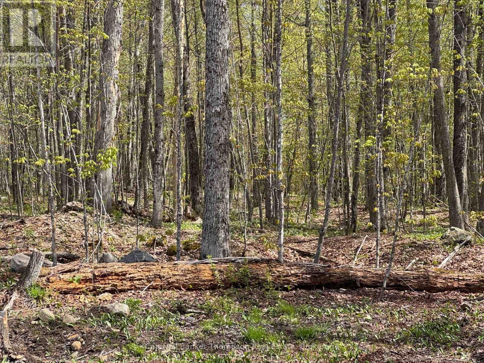 Photo de la propriété:  152 Pettit Lane  ON P0A 1M0 