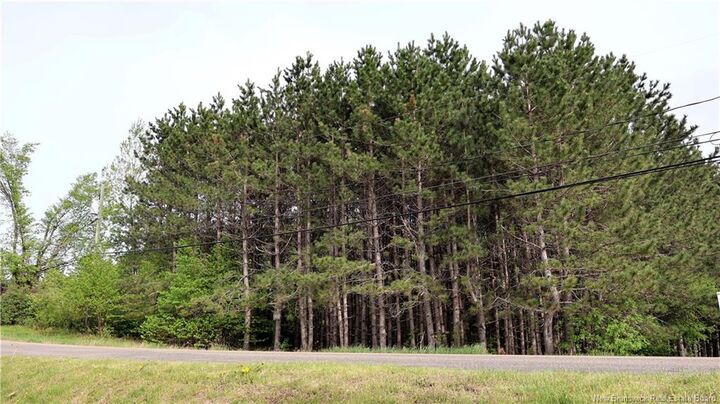 Vacant Lot 74-1A Cape Breton Rd Road — photo 1