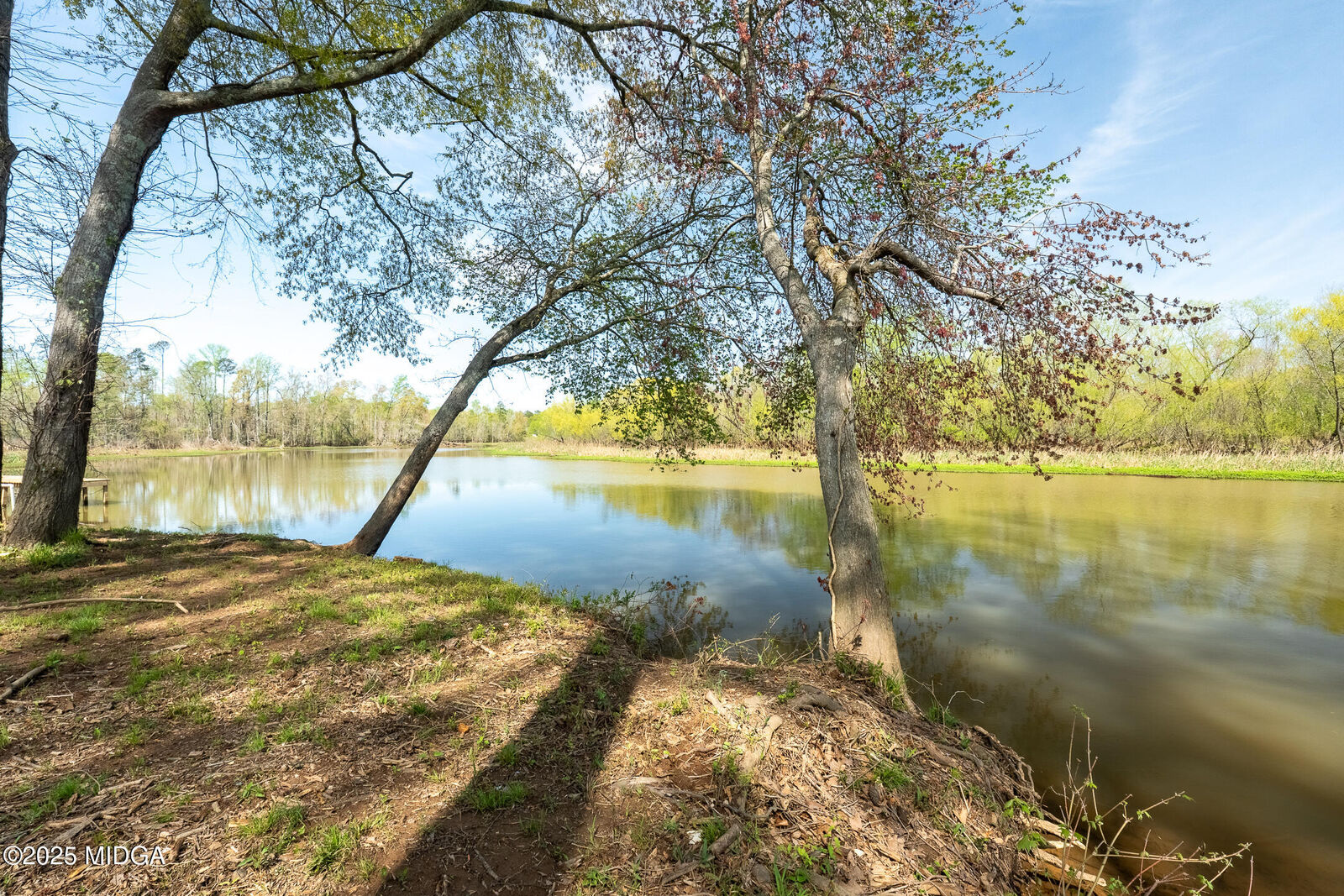 Property Photo:  0 Henry Higgins Road  GA 30233 