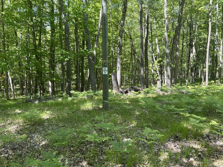 Property Photo:  8297 Highland Trail  MI 49346 