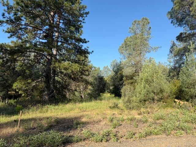 Property Photo: 9030 Orval Beckett Court CA 95667