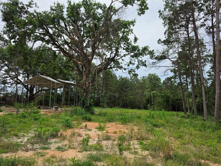 Property Photo:  1017 Cr 3325  TX 75938 