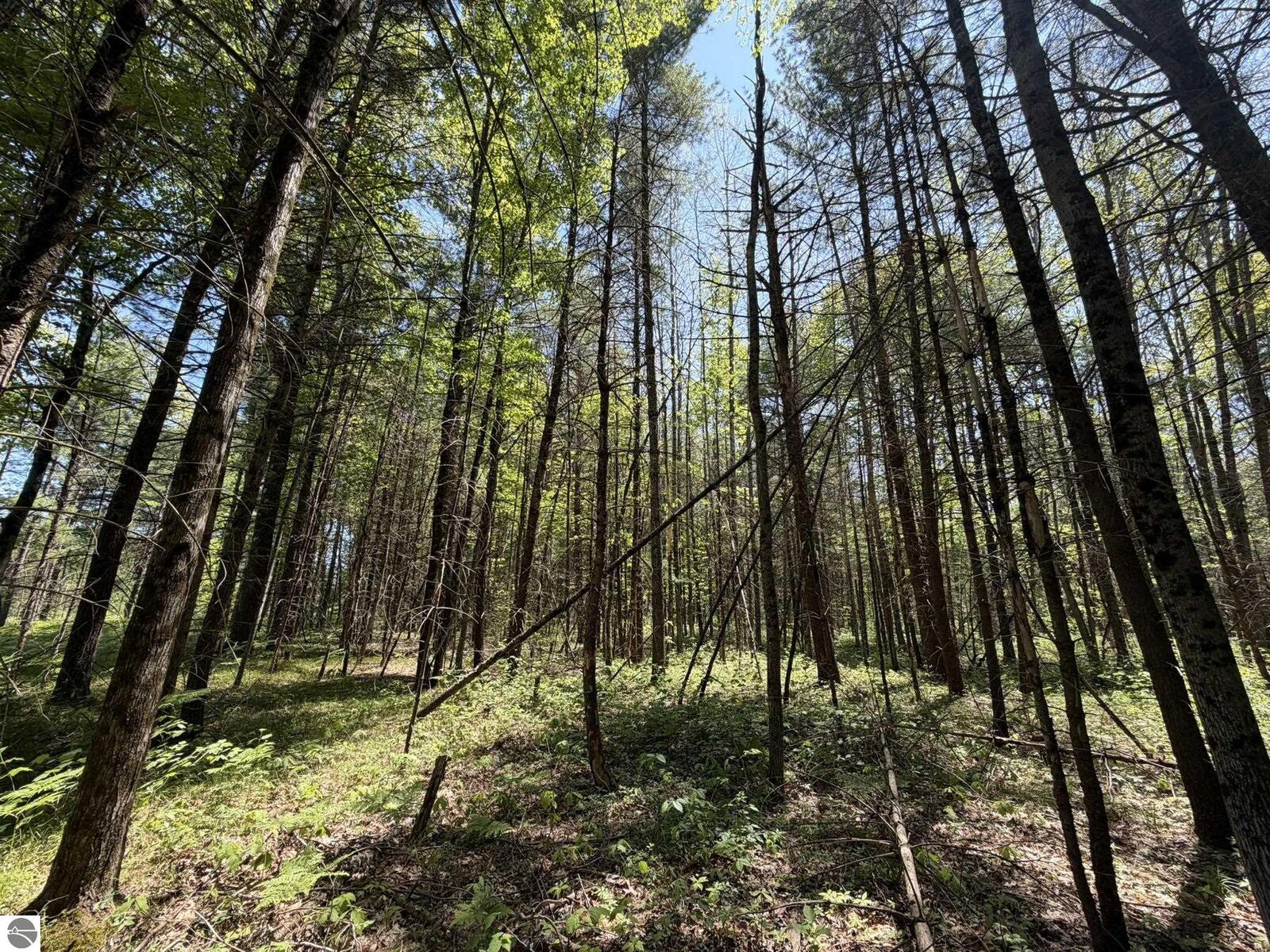 Property Photo: V/L US-10 MI 49642