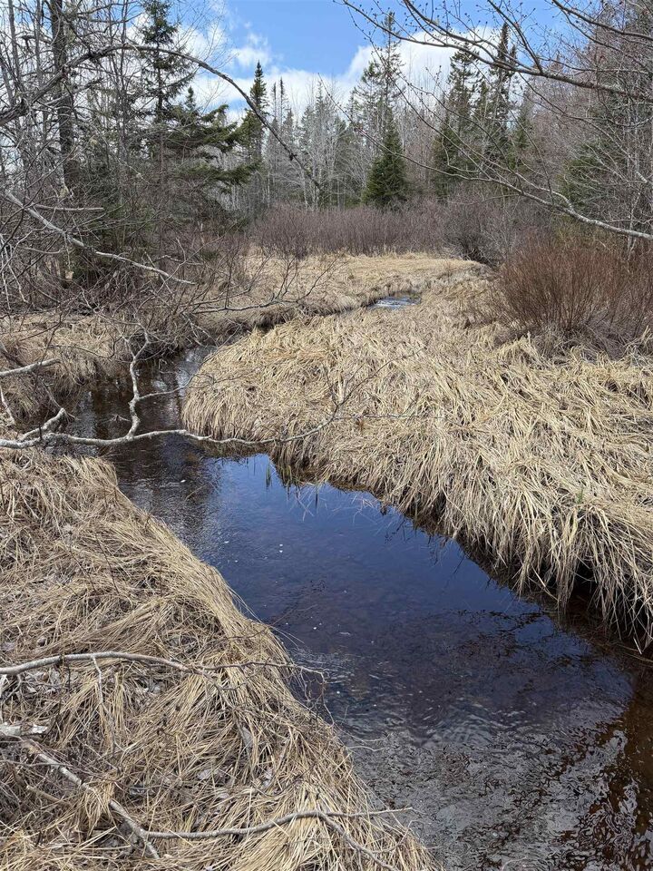 Property Photo:  Lot Cl2 Palmer Road  NS B0M 1Z0 