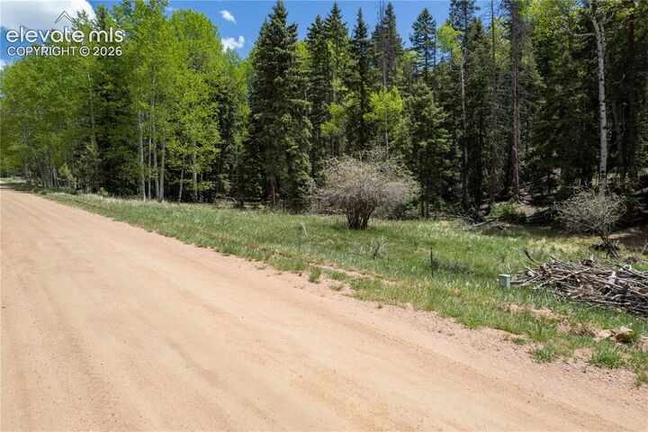 Property Photo:  546 Spring Valley Lane  CO 80816 