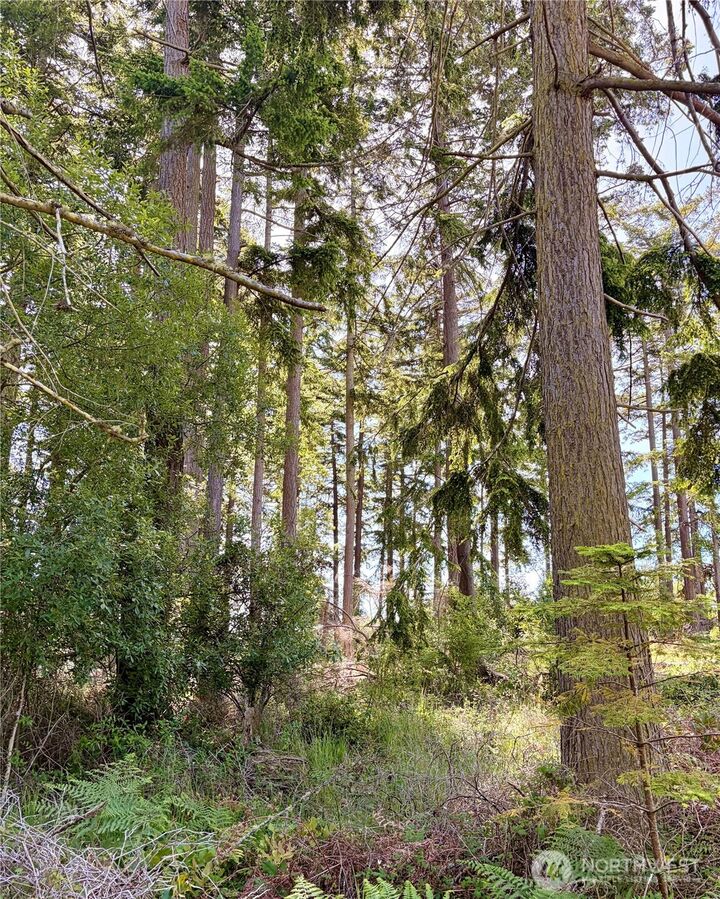 Property Photo:  0  Old Cedar Lane  WA 98277 