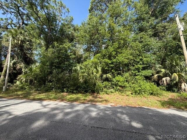 Property Photo:  444 N Hourglass Terrace  FL 34429 
