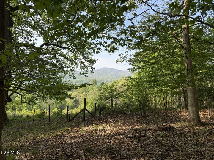Property Photo:  Tbd Bobs Hollow Road Lot 4  TN 37643 