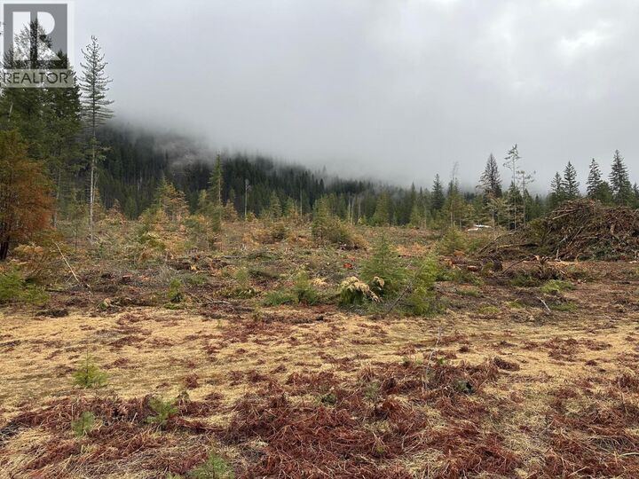 Property Photo:  Lot C Lancaster Road  BC V0G 2J0 