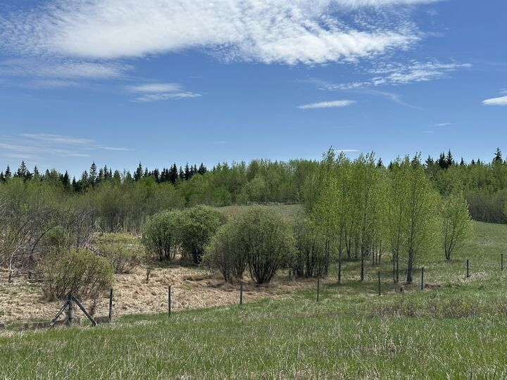 Property Photo:  Range Rd 205  AB T8L 4B3 