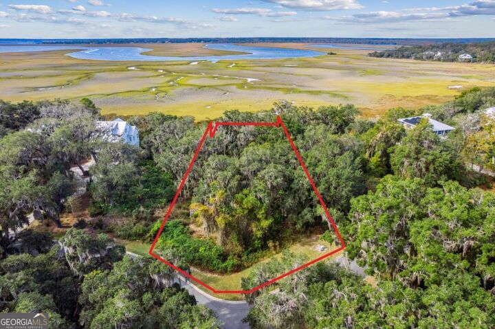 Property Photo:  0 Becket Road  GA 31558 