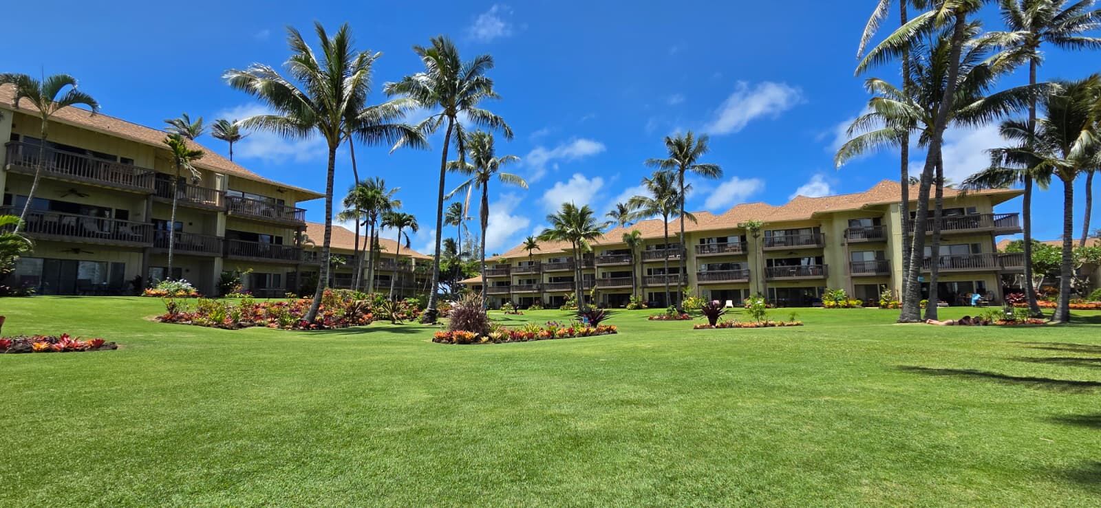 Property Photo: 410 Papaloa Rd 317 HI 96746