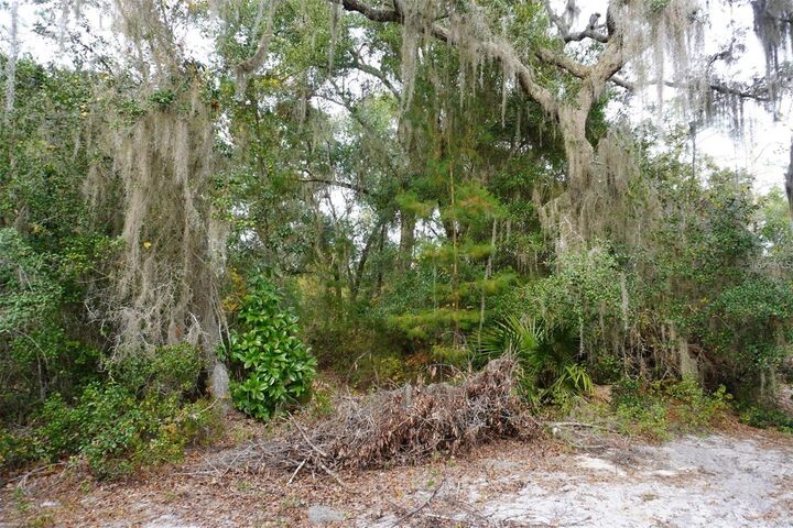 Property Photo:  West Parkway  FL 32724 
