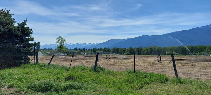Property Photo: 213-219 Charlos Street MT 59870