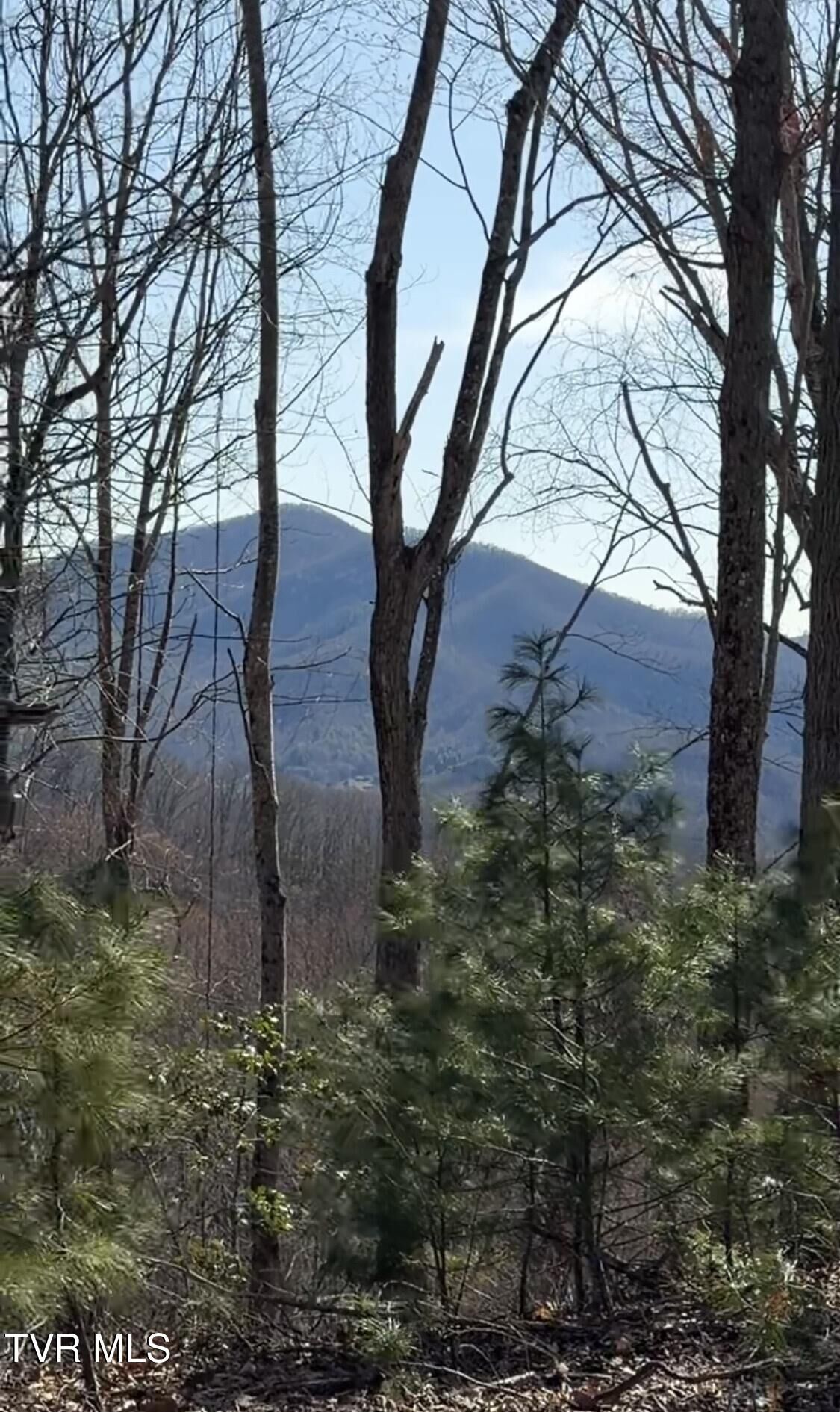 Property Photo:  Tbd Heaton Branch Road  TN 37640 