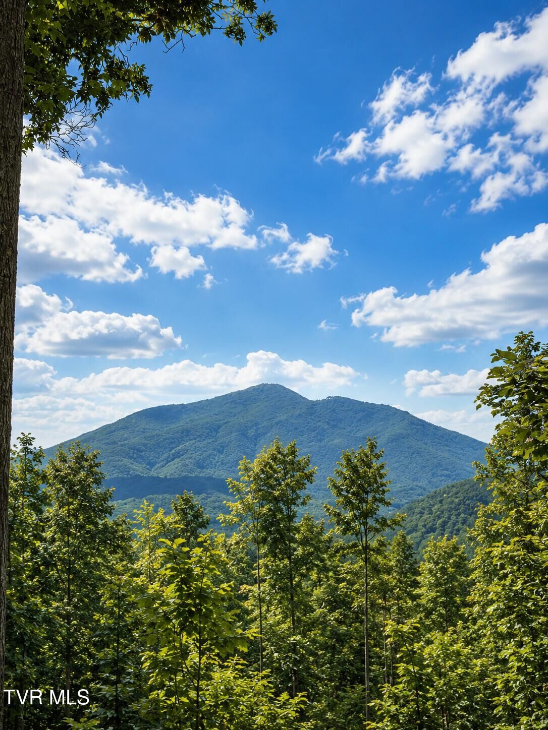Property Photo:  Tbd Heaton Branch Road  TN 37640 
