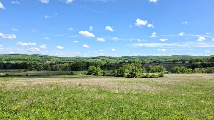 Property Photo:  228 Burns Road  NY 14817 