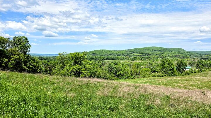 Property Photo: 158 Burns Road NY 14817