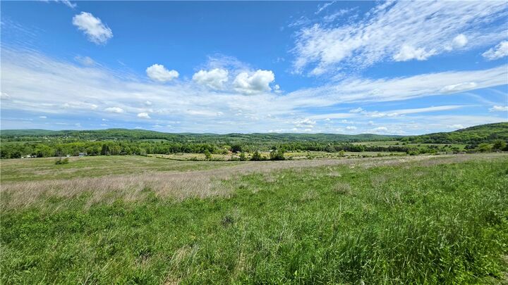 Property Photo: 158 Burns Road NY 14817