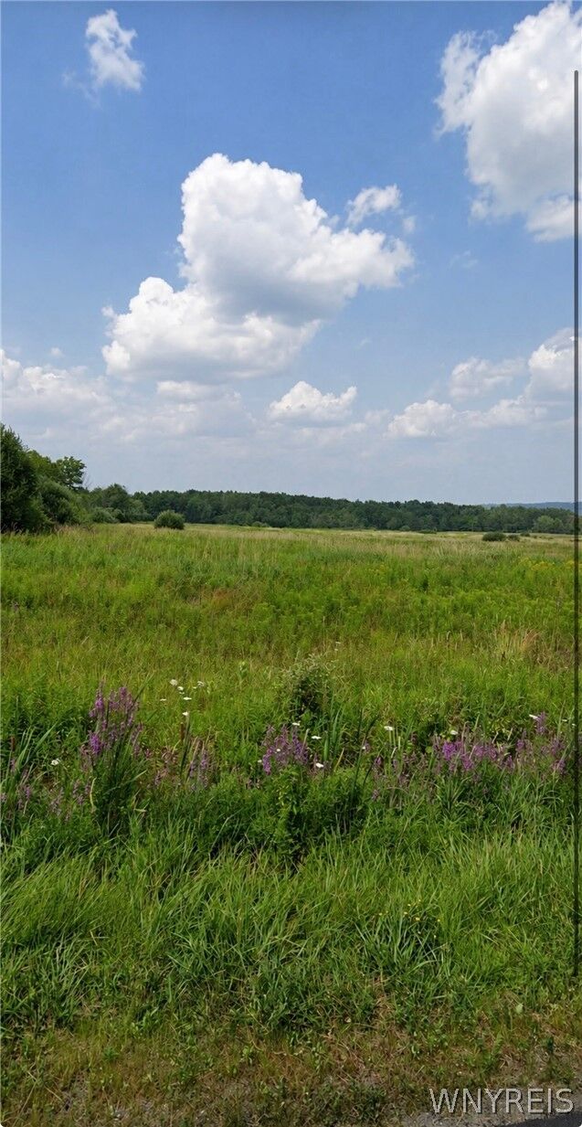 Property Photo:  Holland Glenwood Road  NY 14080 