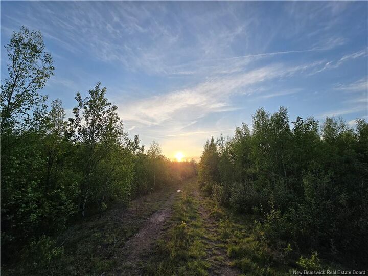Property Photo:  Lot 2 Dingley Road  NB E4Z 1W1 