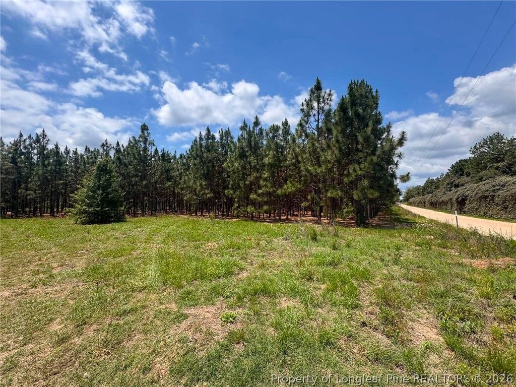 Property Photo: Gainey Road NC 28376