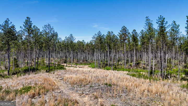 Property Photo:  403 Acres Youngs Farm Road  GA 30125 