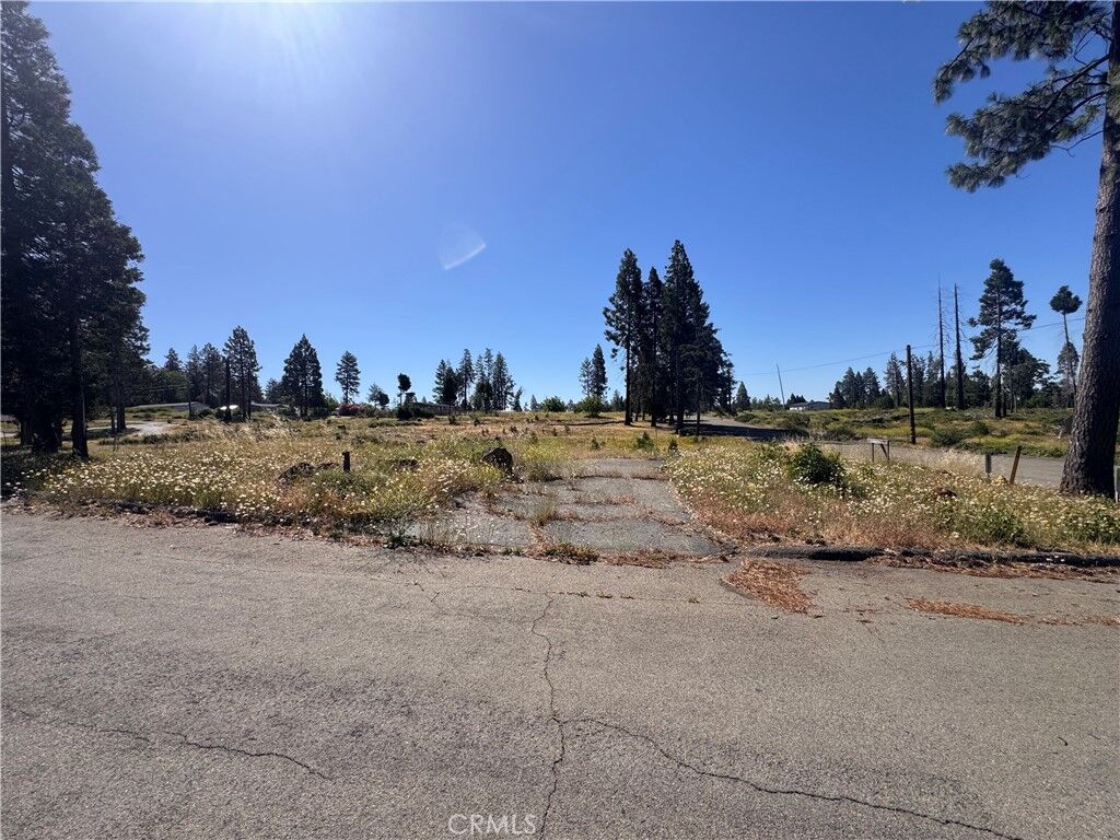 Property Photo:  13712 Endicot Circle  CA 95954 