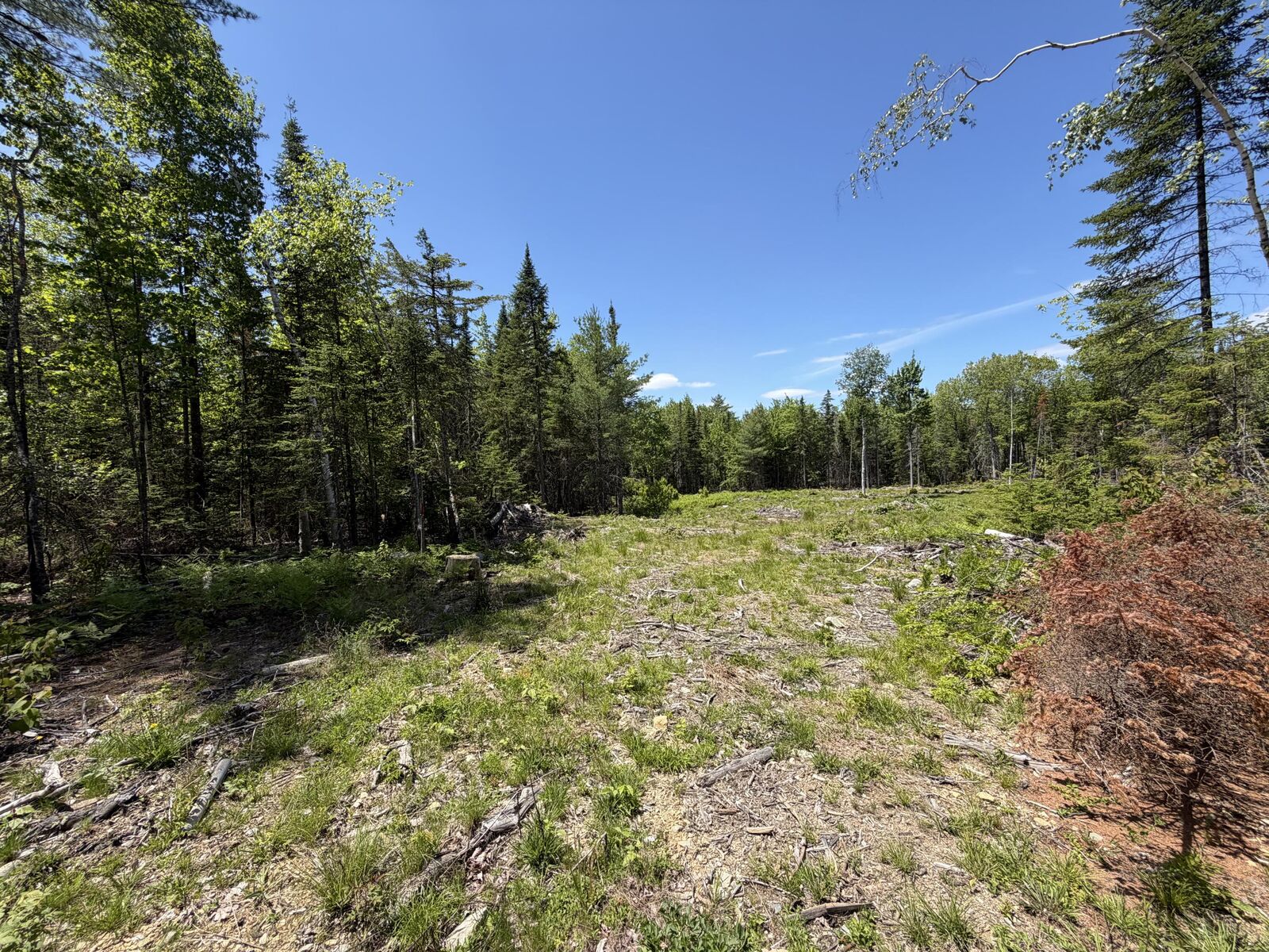 Property Photo: 0 Merritt Drive ME 04473