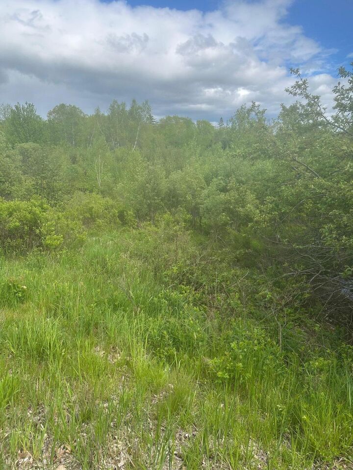 Property Photo: Lot 6 Unionville Road ME 04680