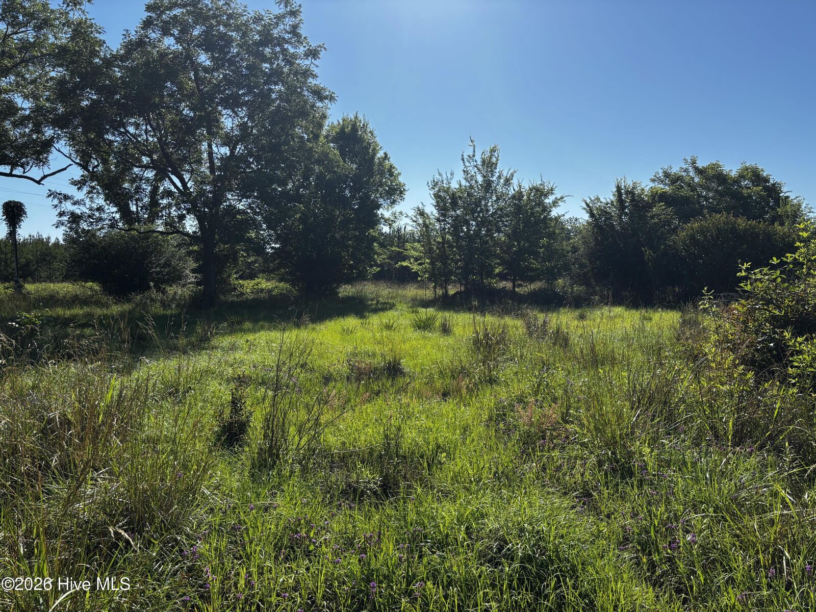 Property Photo:  N/A Bill Oliver Road  GA 31096 