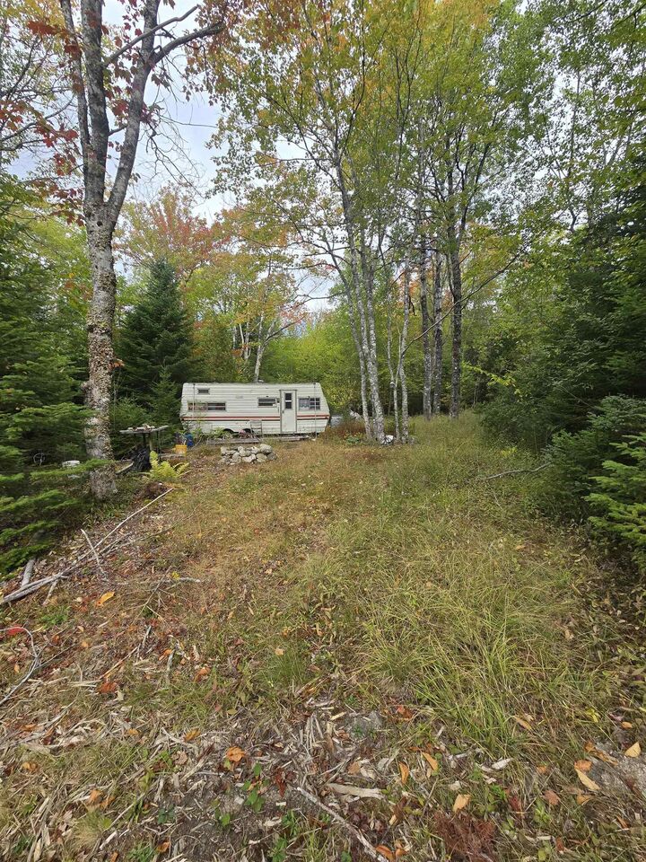 Property Photo:  41 Freeman Collicutt Road  NS B0J 1J0 