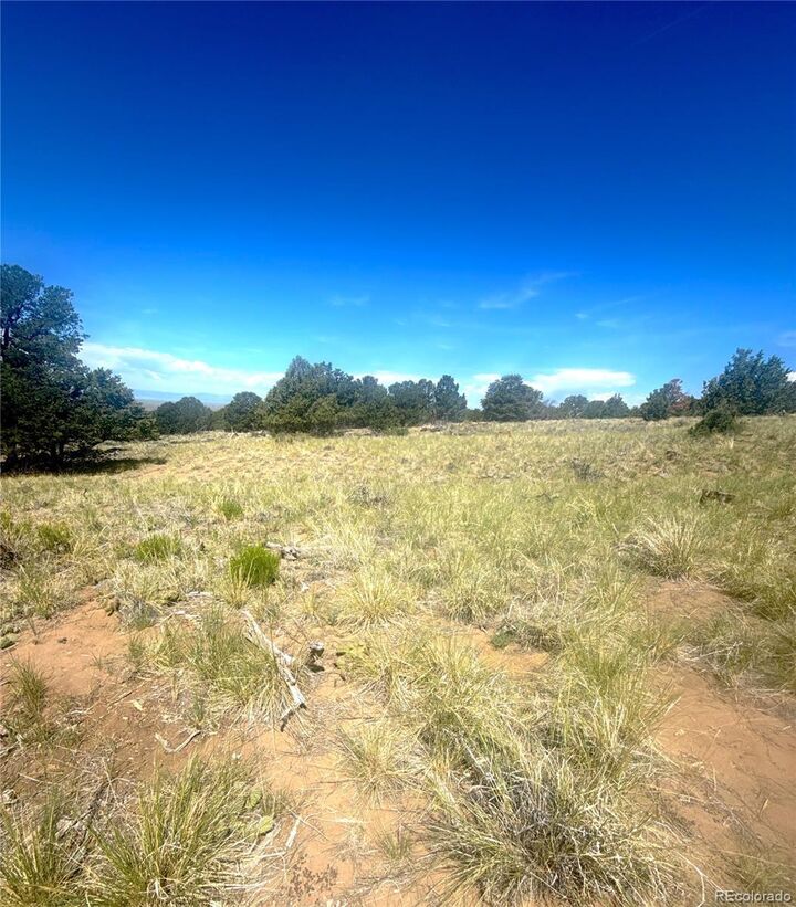 Property Photo:  4469 Greenview Court  CO 81131 