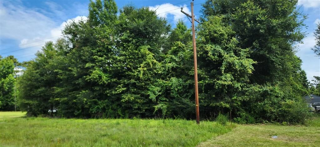 Property Photo:  E Highway 190 E  LA 70657 