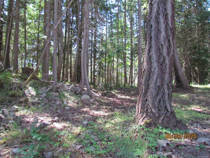 Property Photo:  4523 Bedwell Harbour Rd  BC V0N 2M1 