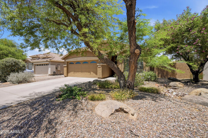 Property Photo:  3840 E Wyatt Way  AZ 85297 